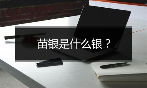 苗银是什么银?