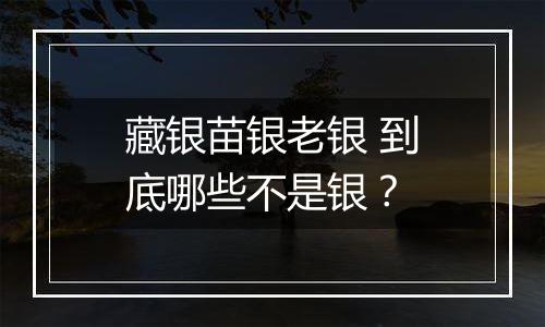 藏银苗银老银 到底哪些不是银?