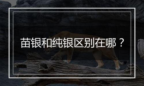 苗银和纯银区别在哪?