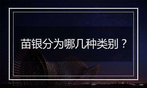 苗银分为哪几种类别?