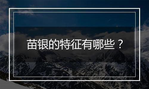 苗银的特征有哪些?