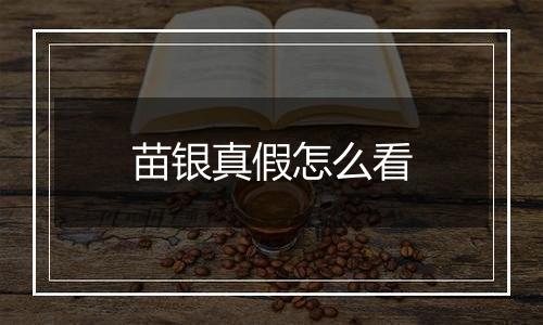 苗银真假怎么看
