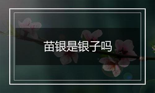 苗银是银子吗