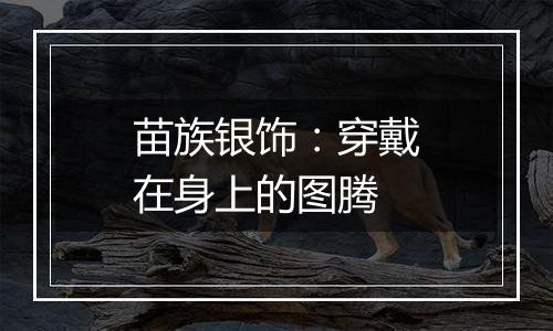 苗族银饰:穿戴在身上的图腾
