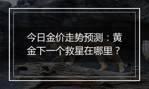 今日金价走势预测：黄金下一个救星在哪里？
