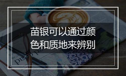 苗银可以通过颜色和质地来辨别