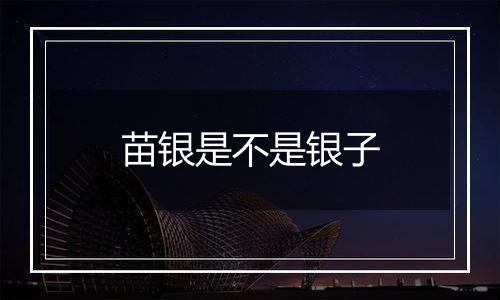 苗银是不是银子