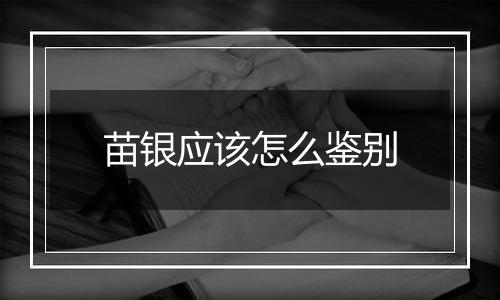 苗银应该怎么鉴别