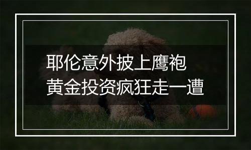耶伦意外披上鹰袍 黄金投资疯狂走一遭