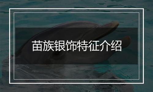 苗族银饰特征介绍