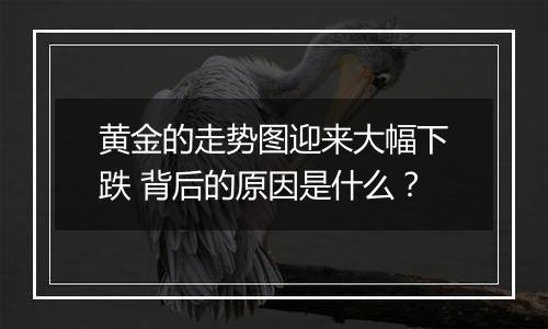 黄金的走势图迎来大幅下跌 背后的原因是什么？