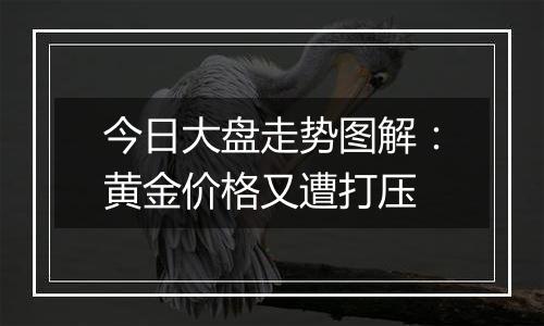 今日大盘走势图解:黄金价格又遭打压