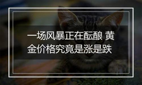 一场风暴正在酝酿 黄金价格究竟是涨是跌