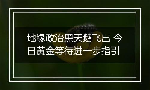 地缘政治黑天鹅飞出 今日黄金等待进一步指引
