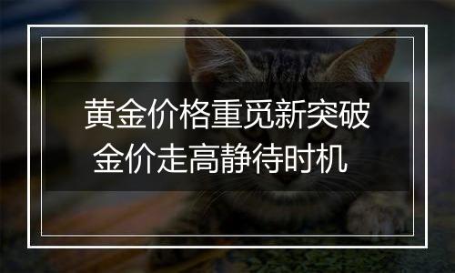 黄金价格重觅新突破 金价走高静待时机