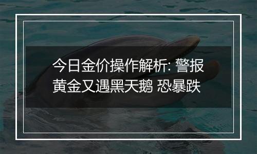 今日金价操作解析: 警报黄金又遇黑天鹅 恐暴跌