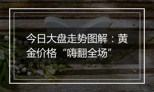 今日大盘走势图解:黄金价格“嗨翻全场”