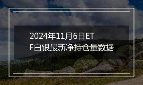 2024年11月6日ETF白银最新净持仓量数据