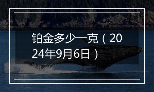 铂金多少一克(2024年9月6日)