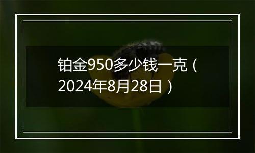 铂金950多少钱一克（2024年8月28日）