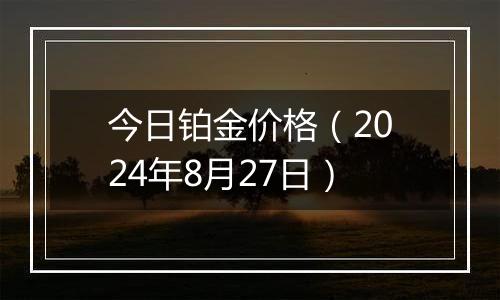 今日铂金价格（2024年8月27日）