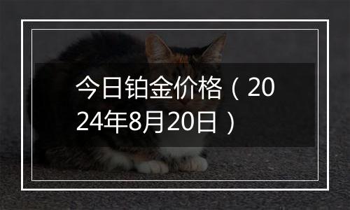 今日铂金价格(2024年8月20日)