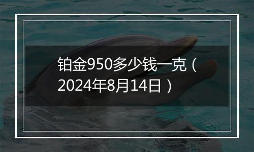 铂金950多少钱一克(2024年8月14日)