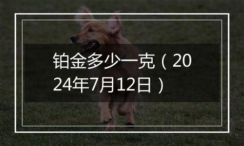 铂金多少一克(2024年7月12日)