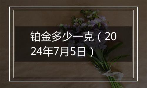铂金多少一克（2024年7月5日）