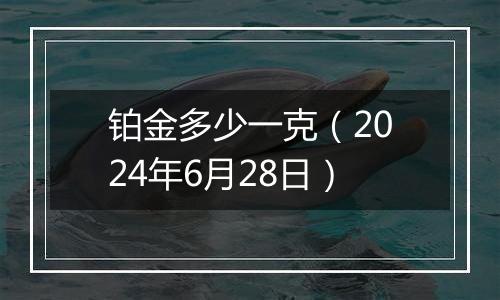 铂金多少一克（2024年6月28日）