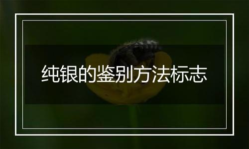 纯银的鉴别方法标志