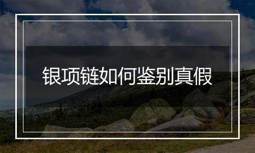 银项链如何鉴别真假