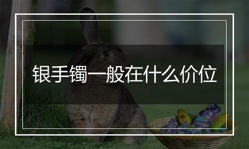 银手镯一般在什么价位