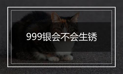 999银会不会生锈