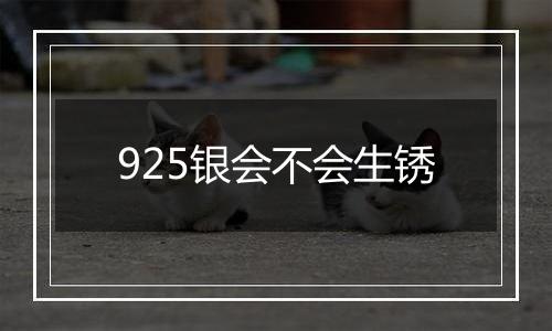 925银会不会生锈