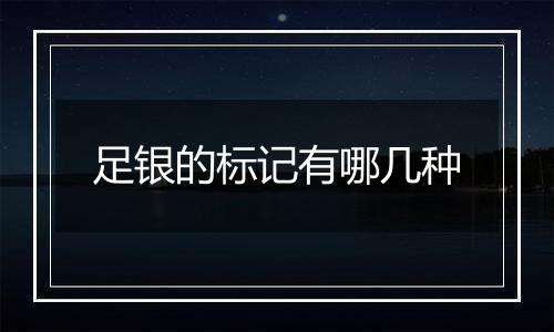 足银的标记有哪几种