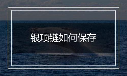 银项链如何保存