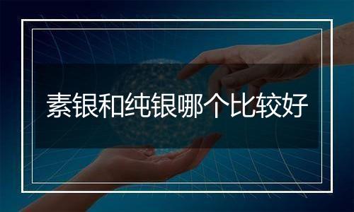 素银和纯银哪个比较好