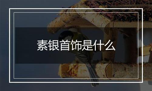 素银首饰是什么