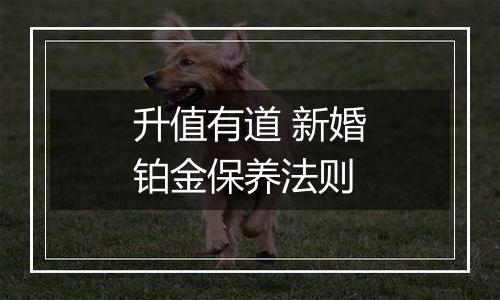 升值有道 新婚铂金保养法则
