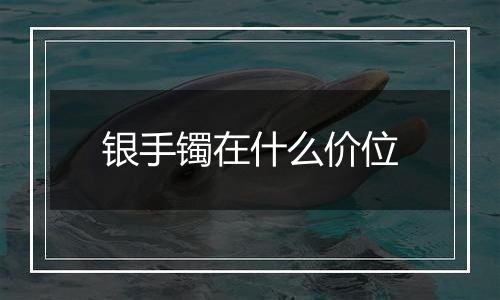 银手镯在什么价位