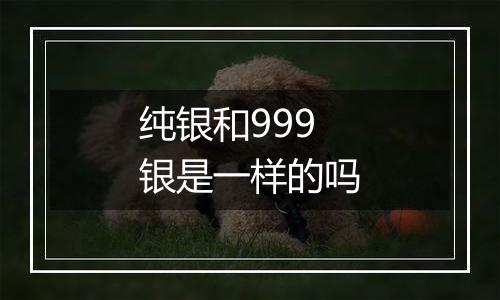 纯银和999银是一样的吗