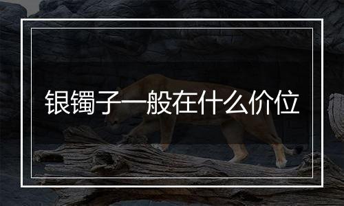 银镯子一般在什么价位