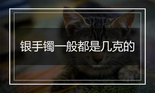 银手镯一般都是几克的