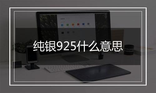 纯银925什么意思