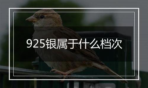 925银属于什么档次