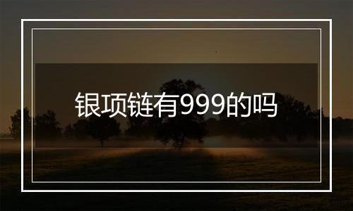 银项链有999的吗