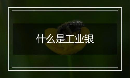 什么是工业银