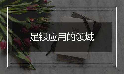足银应用的领域