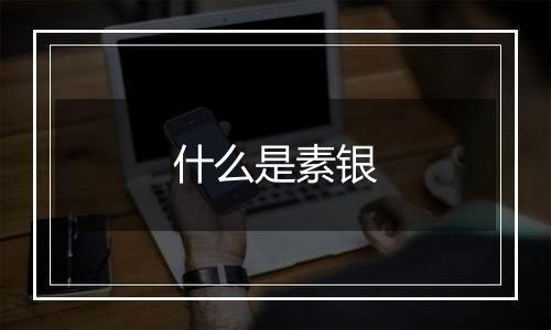 什么是素银